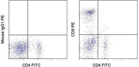 CD8a Monoclonal Antibody (OX8), PE, eBioscience