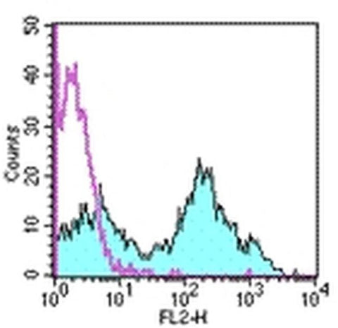 CD16/CD32 Monoclonal Antibody (93), PE, eBioscience