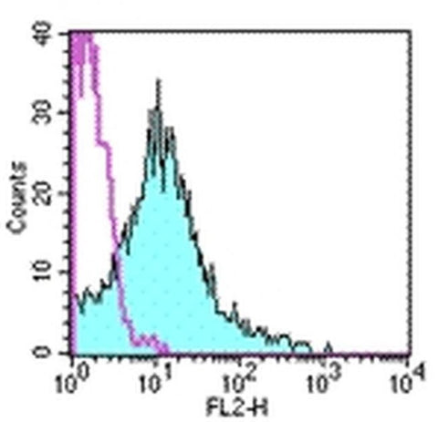 CD18 (LFA-1 beta) Monoclonal Antibody (M18/2), PE, eBioscience