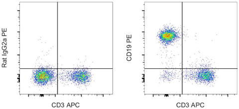 CD19 Monoclonal Antibody (eBio1D3 (1D3)), PE, eBioscience