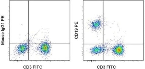 CD19 Monoclonal Antibody (SJ25C1), PE, eBioscience