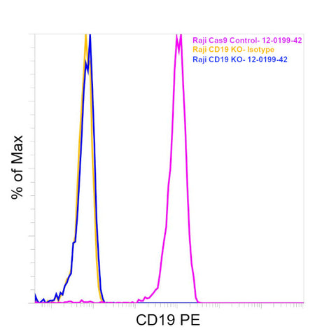 CD19 Monoclonal Antibody (HIB19), PE, eBioscience