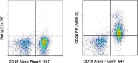 CD20 Monoclonal Antibody (AISB12), PE, eBioscience