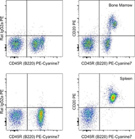 CD20 Monoclonal Antibody (QCH6A7), PE, eBioscience
