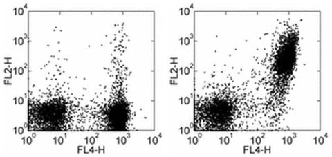 CD21/CD35 Monoclonal Antibody (eBio8D9 (8D9)), PE, eBioscience