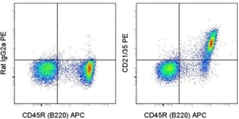 CD21/CD35 Monoclonal Antibody (eBio4E3 (4E3)), PE, eBioscience