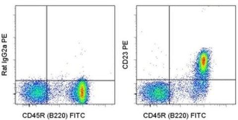 CD23 Monoclonal Antibody (B3B4), PE, eBioscience