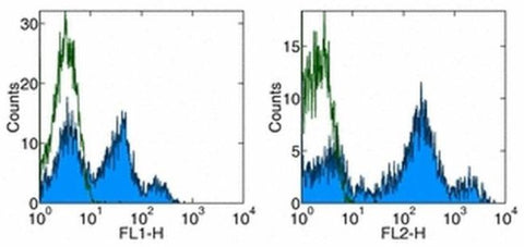 CD26 Monoclonal Antibody (2A6), PE, eBioscience