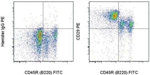 CD29 (Integrin beta 1) Monoclonal Antibody (eBioHMb1-1 (HMb1-1)), PE, eBioscience
