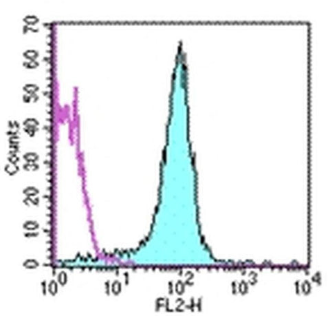 CD31 (PECAM-1) Monoclonal Antibody (390), PE, eBioscience