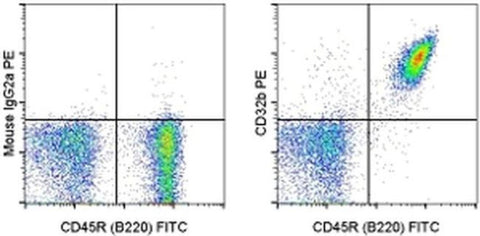 CD32b Monoclonal Antibody (AT130-2), PE, eBioscience