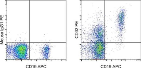 CD32 Monoclonal Antibody (6C4 (CD32)), PE, eBioscience