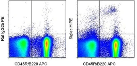 SIGLEC H Monoclonal Antibody (eBio440c), PE, eBioscience