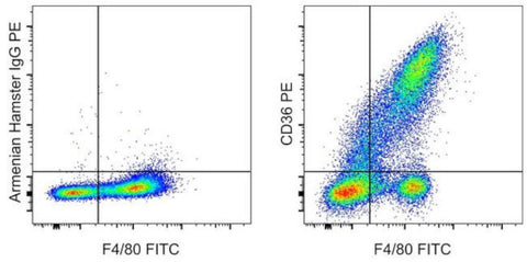 CD36 Monoclonal Antibody (HM36), PE, eBioscience