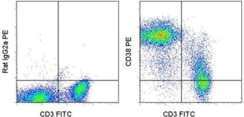CD38 Monoclonal Antibody (90), PE, eBioscience
