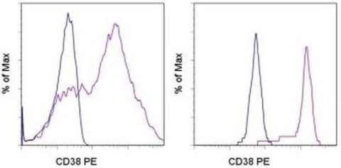CD38 Monoclonal Antibody (HB7), PE, eBioscience