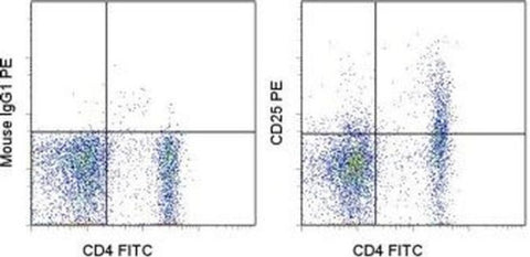 CD25 Monoclonal Antibody (OX39), PE, eBioscience