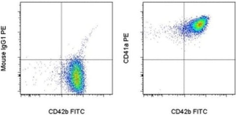 CD41a Monoclonal Antibody (HIP8), PE, eBioscience