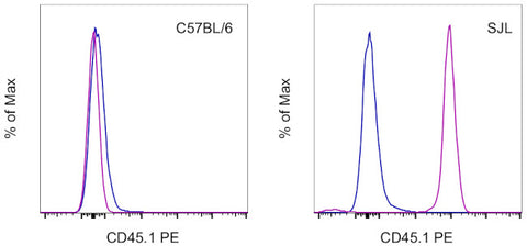 CD45.1 Monoclonal Antibody (A20), PE, eBioscience