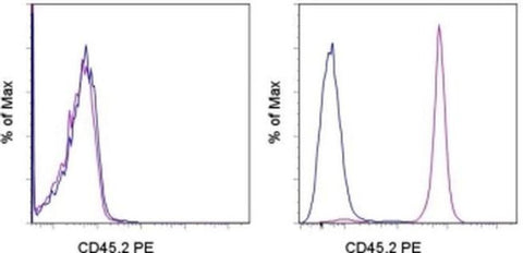 CD45.2 Monoclonal Antibody (104), PE, eBioscience