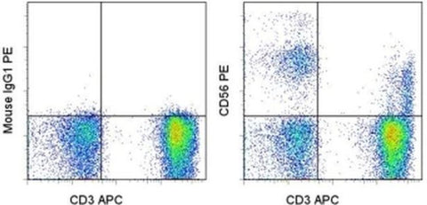 CD56 (NCAM) Monoclonal Antibody (CMSSB), PE, eBioscience