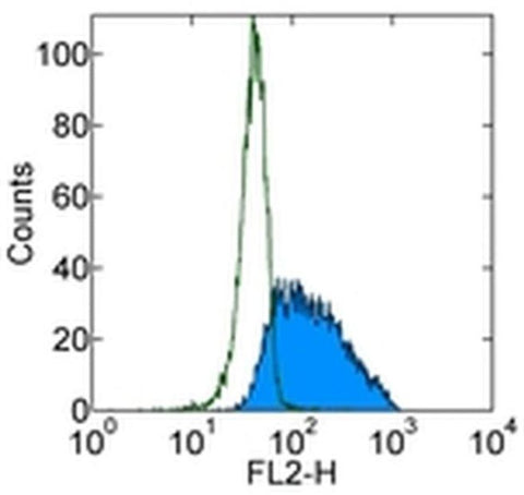 CD62E (E-selectin) Monoclonal Antibody (P2H3), PE, eBioscience