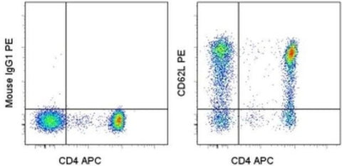 CD62L (L-Selectin) Monoclonal Antibody (DREG-56 (DREG56)), PE, eBioscience
