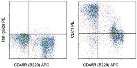 CD71 (Transferrin Receptor) Monoclonal Antibody (R17217 (RI7 217.1.4)), PE, eBioscience
