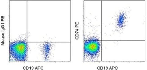 CD74 Monoclonal Antibody (5-329), PE, eBioscience