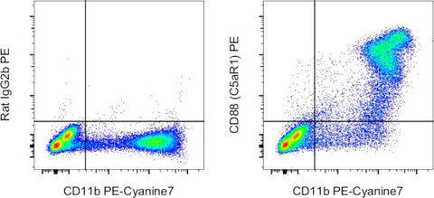 CD88 (C5aR1) Monoclonal Antibody (20/70), PE, eBioscience
