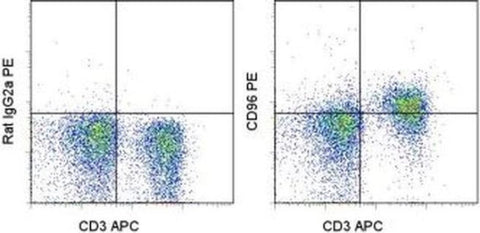 CD96 (TACTILE) Monoclonal Antibody (6A6), PE, eBioscience