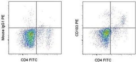 CD103 (Integrin alpha E) Monoclonal Antibody (OX62), PE, eBioscience