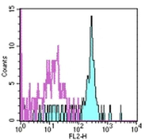 CD116 Monoclonal Antibody (4H1), PE, eBioscience