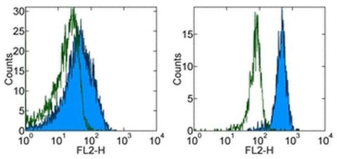 CD119 (IFN gamma Receptor 1) Monoclonal Antibody (GIR-208 (GIR 208)), PE, eBioscience