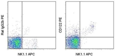 CD122 Monoclonal Antibody (TM-b1 (TM-beta1)), PE, eBioscience