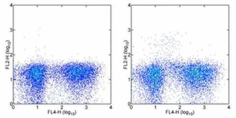 CD123 Monoclonal Antibody (5B11), PE, eBioscience