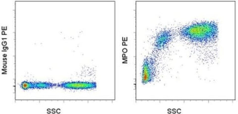 Myeloperoxidase (MPO) Monoclonal Antibody (MPO455-8E6), PE, eBioscience