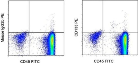 CD133 (Prominin-1) Monoclonal Antibody (EMK08), PE, eBioscience