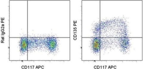 CD135 (Flt3) Monoclonal Antibody (A2F10), PE, eBioscience