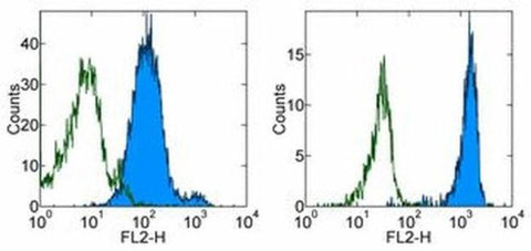 CD147 Monoclonal Antibody (8D12), PE, eBioscience