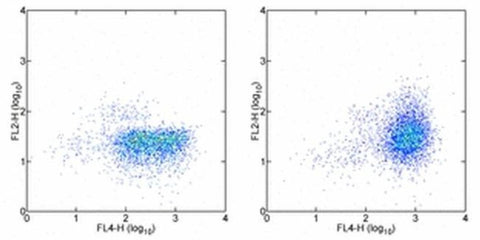 CD152 (CTLA-4) Monoclonal Antibody (eBio20A (20A, A3)), PE, eBioscience
