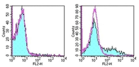 CD153 Monoclonal Antibody (RM153), PE, eBioscience