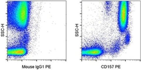 CD157 Monoclonal Antibody (eBioSY11B5 (SY11B5)), PE, eBioscience