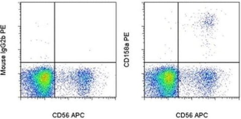 CD158a/h/g Monoclonal Antibody (HP-MA4), PE, eBioscience