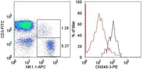 CD160 Monoclonal Antibody (eBioCNX46-3 (CNX46-3)), PE, eBioscience