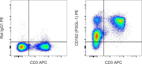 CD162 (PSGL-1) Monoclonal Antibody (4RA10), PE, eBioscience