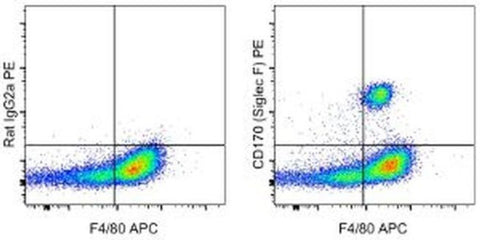 CD170 (Siglec F) Monoclonal Antibody (1RNM44N), PE, eBioscience
