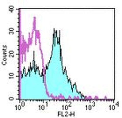 CD180 (RP105) Monoclonal Antibody (RP/14), PE, eBioscience