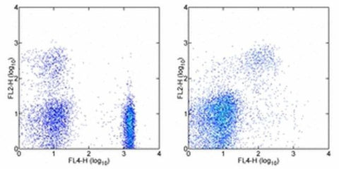 CD182 (CXCR2) Monoclonal Antibody (eBio5E8-C7-F10 (5E8-C7-F10)), PE, eBioscience