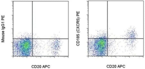 CD185 (CXCR5) Monoclonal Antibody (87.1), PE, eBioscience